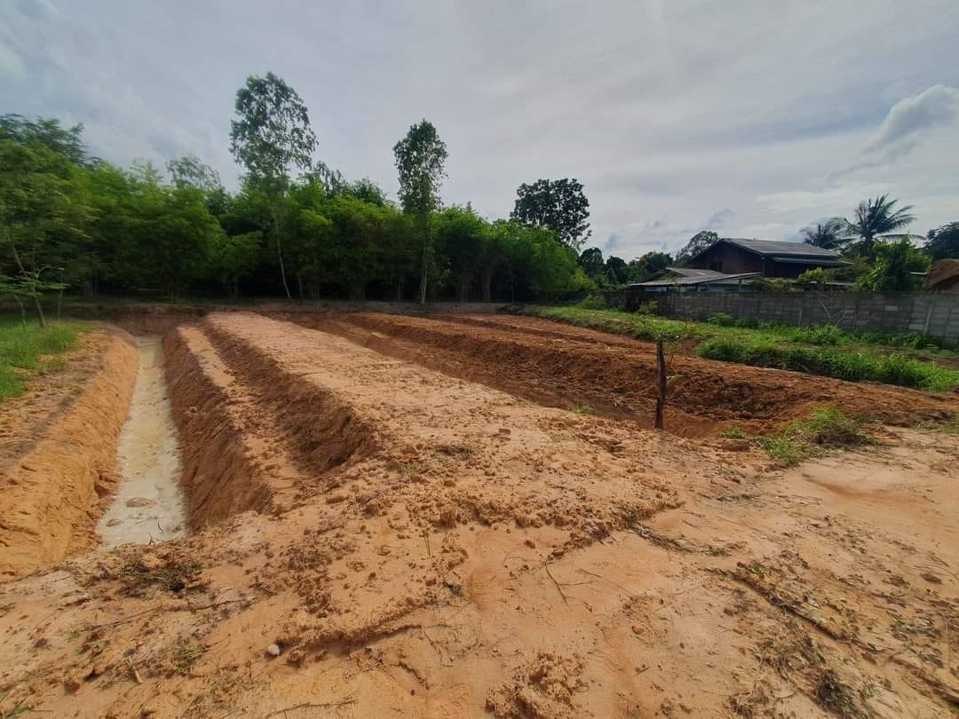 ผลงานแม็คโครอุบล